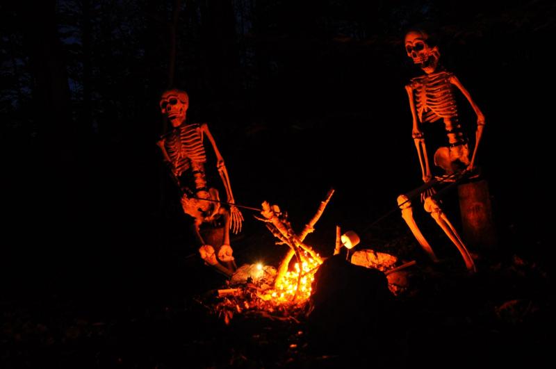 ghosted marshmallows night